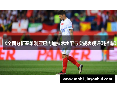 《全面分析塞维利亚巴内加技术水平与实战表现评测指南》